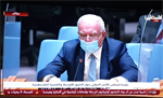 Statement by H.E. Riad Malki Minister of Foreign Affairs and Expatriates of the State of Palestine   UNSC Open Debate on The Situation in the Middle East, including the Palestine question